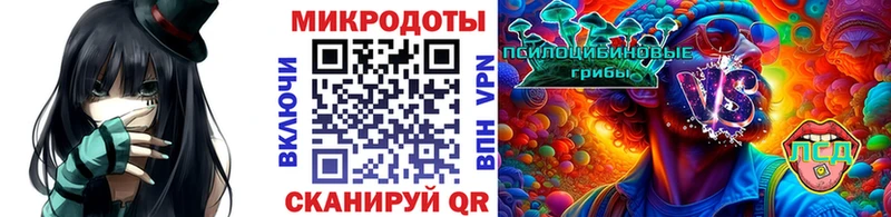 Псилоцибиновые грибы Psilocybine cubensis  Ачхой-Мартан 