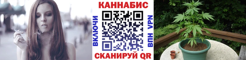 продажа наркотиков  kraken зеркало  Каннабис Amnesia  Ачхой-Мартан 
